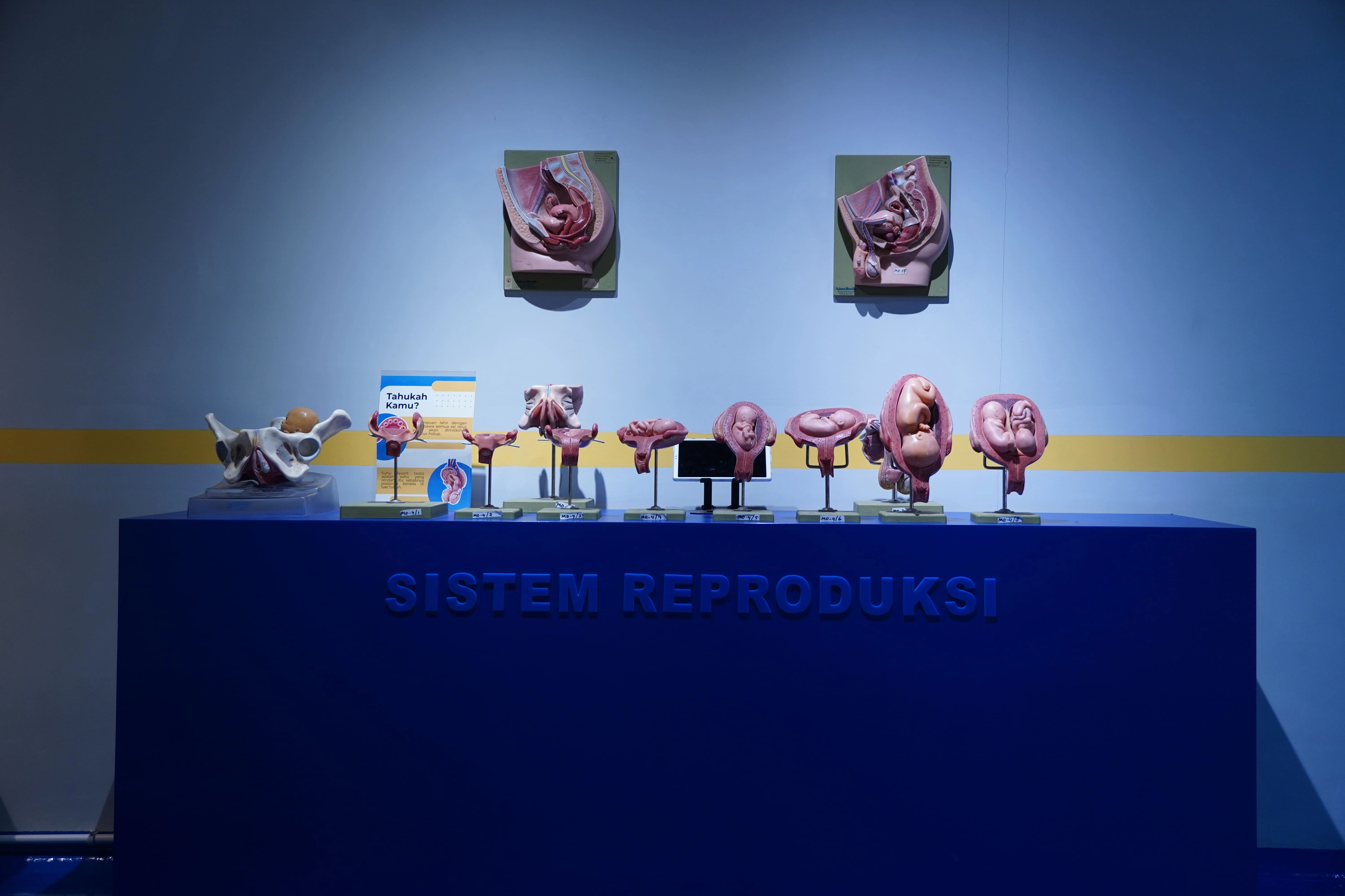Foto Reproduksi