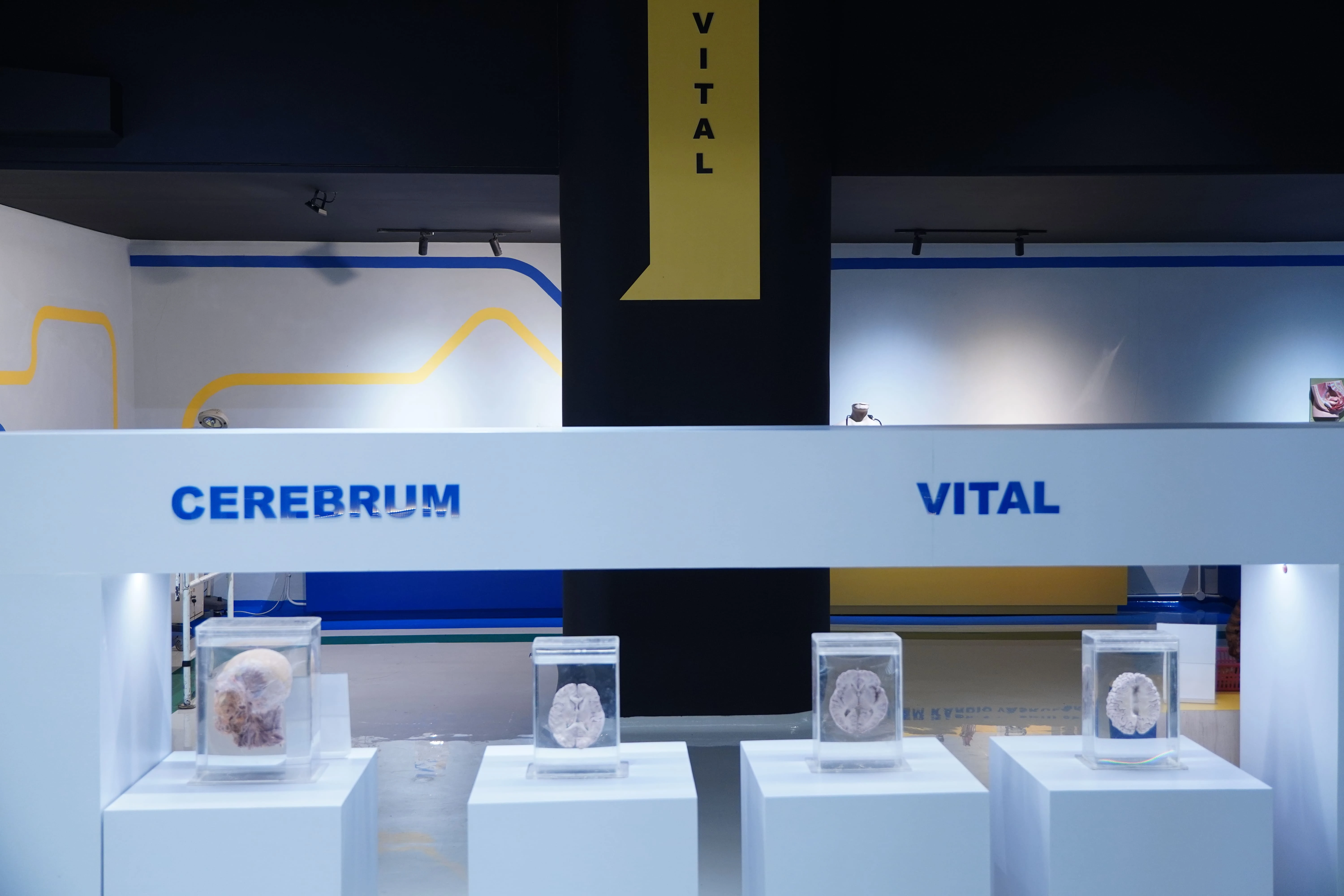 Foto Vital